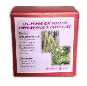 Chimaphile à ombelles